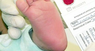 13015603_1332933_gdo