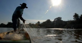 3793375994_0441cb8d90_o