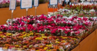 shopping_das_flores_-_credito_fabiano_de_bruim