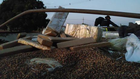 whatsapp_image_2021-07-11_at_14.33.34