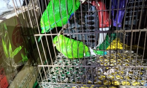 whatsapp_image_2021-07-17_at_09.46.02