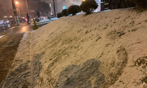 whatsapp_image_2021-07-28_at_19.01.06