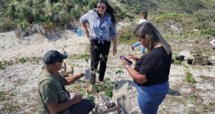 reintroducao_pleroma_hirsutissimum_cabo_frio