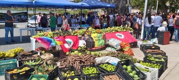 São Paulo (SP) - ESPECIAL - Ação do Coletivo Banquetaço em 27 de fevereiro na cidade de Mauá, na Grande São Paul - Foto: Coletivo Banquetaço/Divulgação