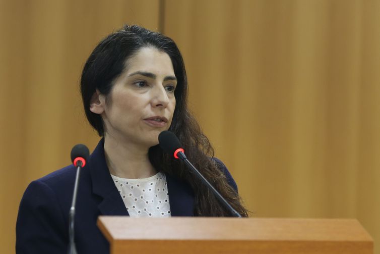 Brasília (DF), A coordenadora do Direito Digital do MJSP, Estela Aranha, fala sobre a responsabilidade das redes sociaisna disseminação de conteudo extremista na internet. Foto: Valter Campanato/Agência Brasil.