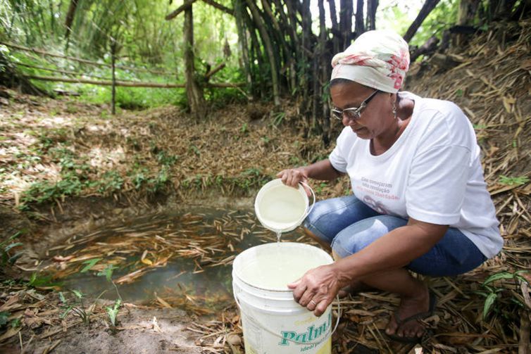 Bahia. Comunidade Quilombola Rio dos Macacos/ Foto Divulgação.