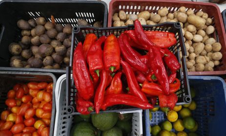 São Paulo, (SP), 27.11.2023 - Produtos orgânicos no Armazém do Campo . - Mercado de orgânicos registrou aumento de 30% nas vendas em 2020, movimentando R,8 bilhões. Foto: Paulo Pinto/Agência Brasil
