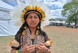 Povo Rikbaktsa volta a extrair látex sem patrões e respeitando a mata