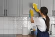 Hoje é Dia destaca os direitos das domésticas e acidentes de trabalho