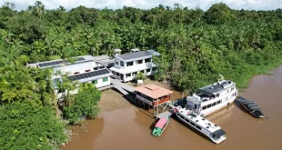 Mulheres extrativistas enfrentam preconceito e geram renda na Amazônia