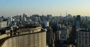 Prédios com vidraças nas cidades ameaçam aves, aponta pesquisa
