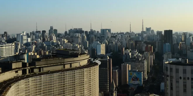 Prédios com vidraças nas cidades ameaçam aves, aponta pesquisa