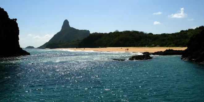 Ilhas brasileiras: estudo revela presença de espécies exclusivas